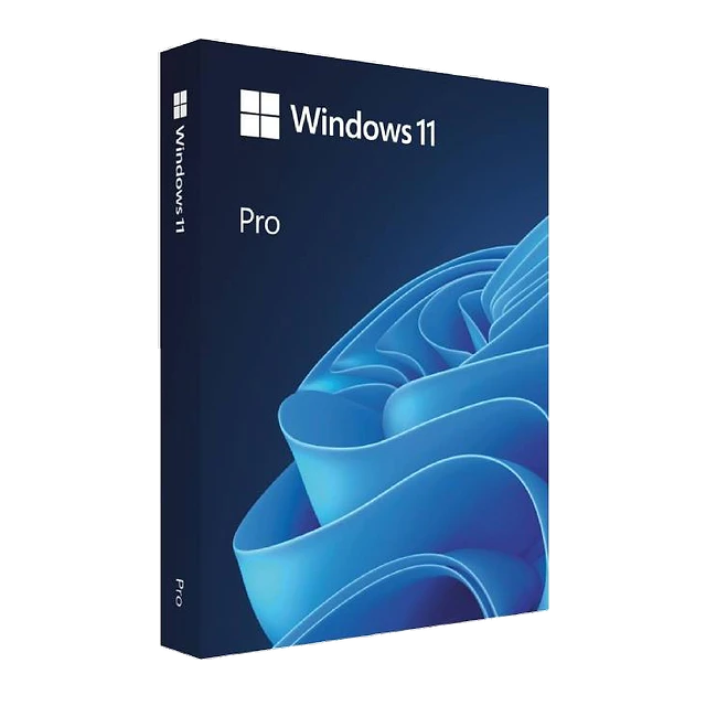 Hình sản phẩm Win Pro FPP 11 64-bit Eng Intl USB