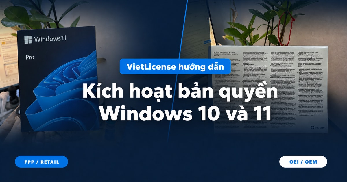 Ảnh sản phẩm thực tế Windows OEI/OEM và Windows 11 Pro FPP/Retail