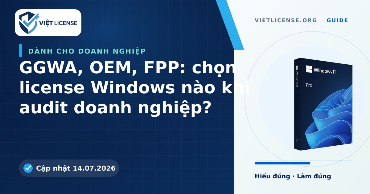 Minh họa cho bài viết GGWA, OEM, FPP: chọn license Windows nào khi audit doanh nghiệp?