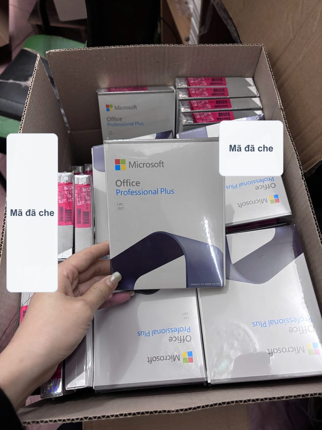 Ảnh thực tế nhiều hộp Office 2021 Pro Plus đã che mã